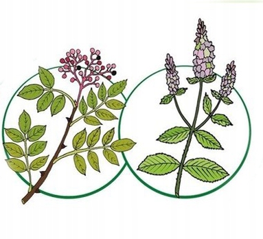 PŁYN PRZECIW KOMAROM DLA DZIECI CHICCO roll on 2m+