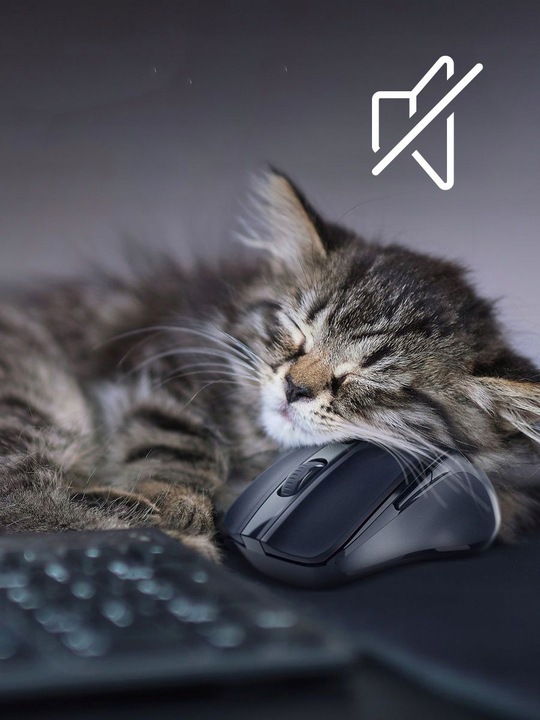 Myszka Bezprzewodowa Cichy Klik Sensor Pixart 3065