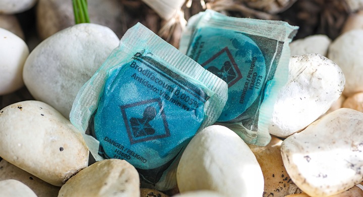 SILNA TRUTKA NA MYSZY I SZCZURY MURIBROM PASTA W SASZETKACH BRODIFAKUM