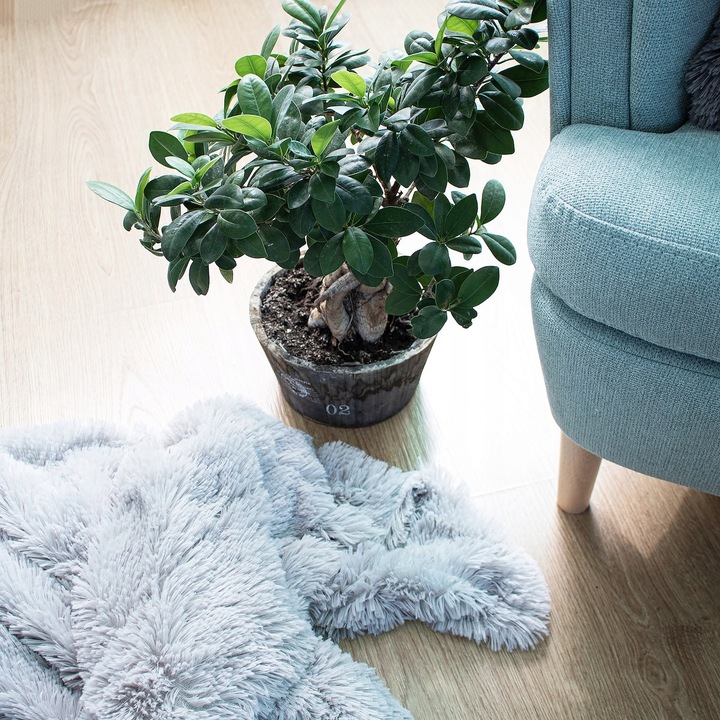 KOC WŁOCHACZ NARZUTA NA ŁÓŻKO PLED MIĘKKI GRUBY CIEPŁY 220x240 cm SZARY