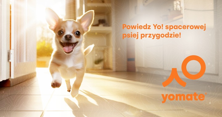 MAŁY PIES do 12 KG - LEKKA WYGODNA SMYCZ AUTOMATYCZNA dla PSA ZWIJANA TAŚMA