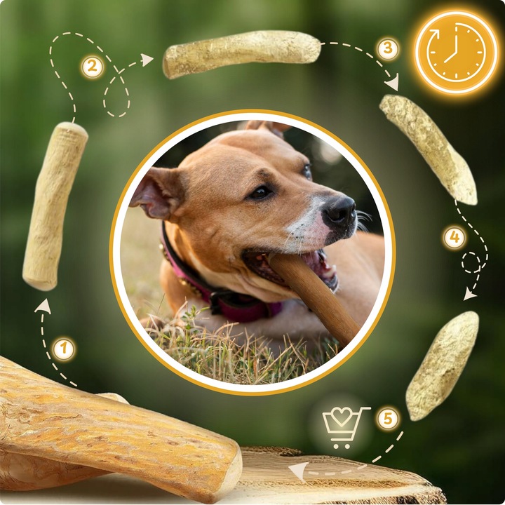 PATYK Z DRZEWA KAWOWEGO M NATURALNY KAWOWY GRYZAK DLA PSA WYTRZYMAŁY ŚREDNI