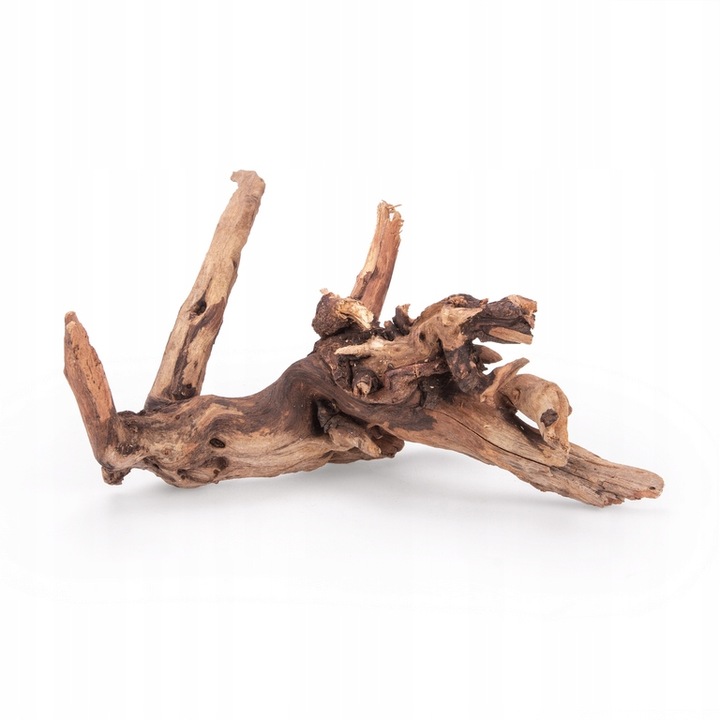 NATURALNY KORZEŃ DO AKWARIUM DESERT ROZMIAR M 20CM