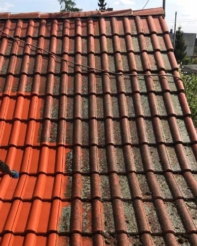 APC OUT P12 Tenzi 5l doczyszczenie elewacji dachów