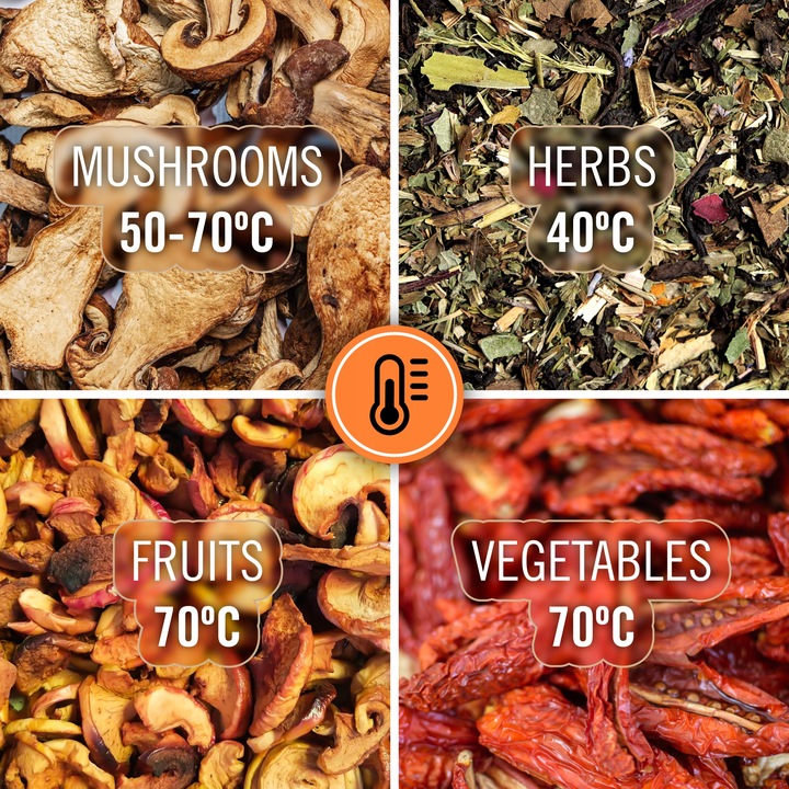 Suszarka do grzybów warzyw owoców 400W 5 sit wyświetlacz termoobieg