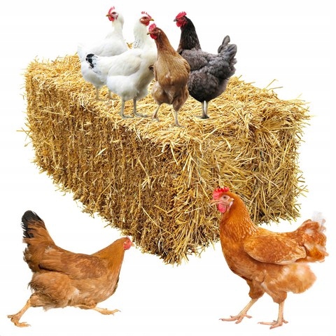 Słoma na kompost, do budy, Legowisko dla psa, Ściółka Dla Gryzoni, 80L