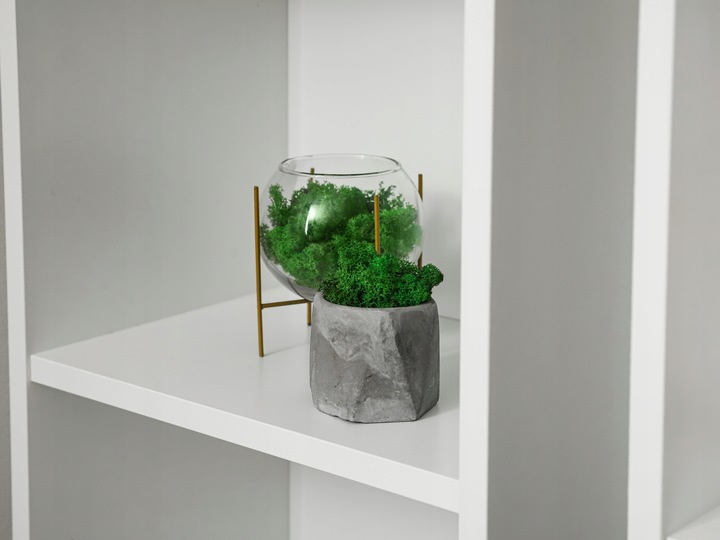 Mech CHROBOTEK RENIFEROWY fiński 500g ŚCIÓŁKA jasno zielony