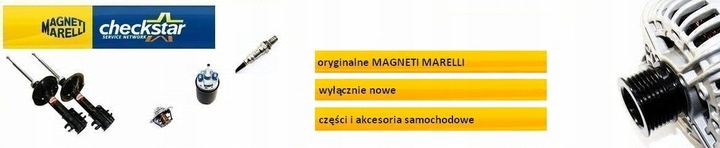 MAGNETI MARELLI OLEJ DO KLIMATYZACJI PAG ISO 46 250ML