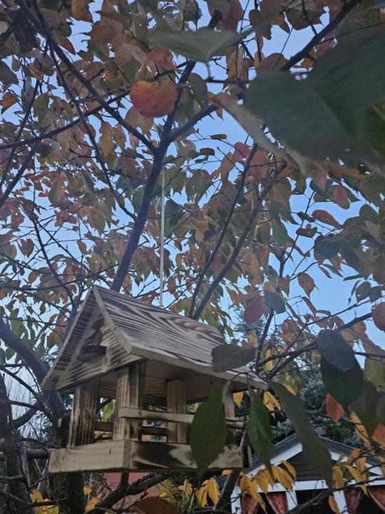 Solidny Drewniany KARMNIK XXL DLA PTAKÓW karmik opalane drewno