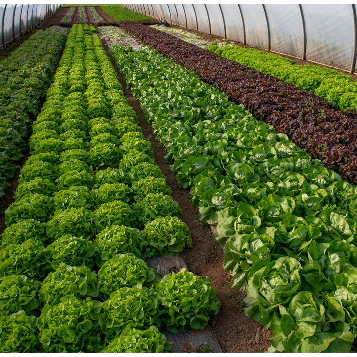 LINIA KROPLUJĄCA 100m+179EL NAWADNIANIE KROPELKOWE WĄŻ KROPELKUJĄCY SOLIDNY