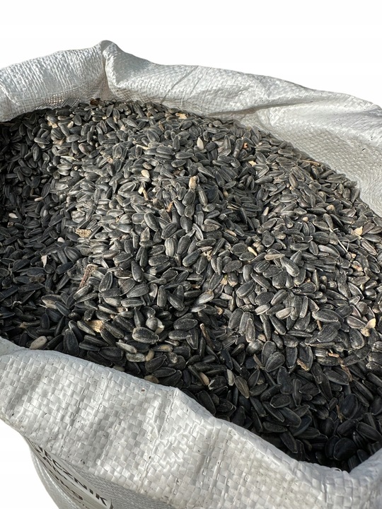 Słonecznik czarny 20 kg