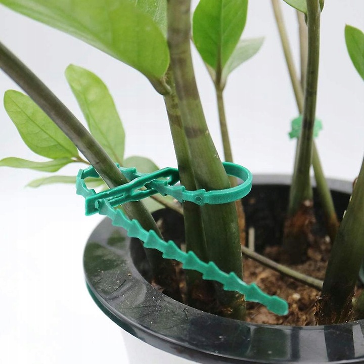 TG56594 OPASKI ZACISKOWE SPINKI OGRODNICZE TRYTYTKI DO ROŚLIN KLIPSY wielor