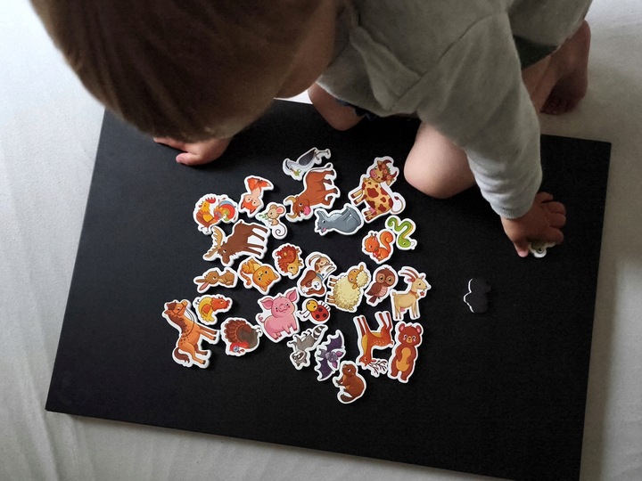 MAGNESY NA LODÓWKĘ DLA DZIECI ZESTAW EDUKACYJNY ZWIERZĘTA PREZENT 30