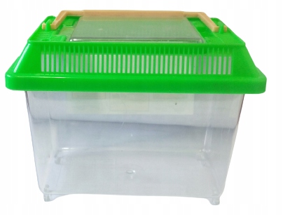 AKWARIUM DLA bojownika Transportówka dla RYB 1,6L