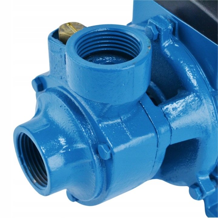 Pompa Ogrodowa HYDROFOROWA 900W - Wysoka Wydajność i IP68 do Czystej Wody