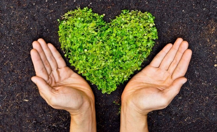 Olej do smarowania łańcucha Eko-Pil 68 5L ORYGINAŁ