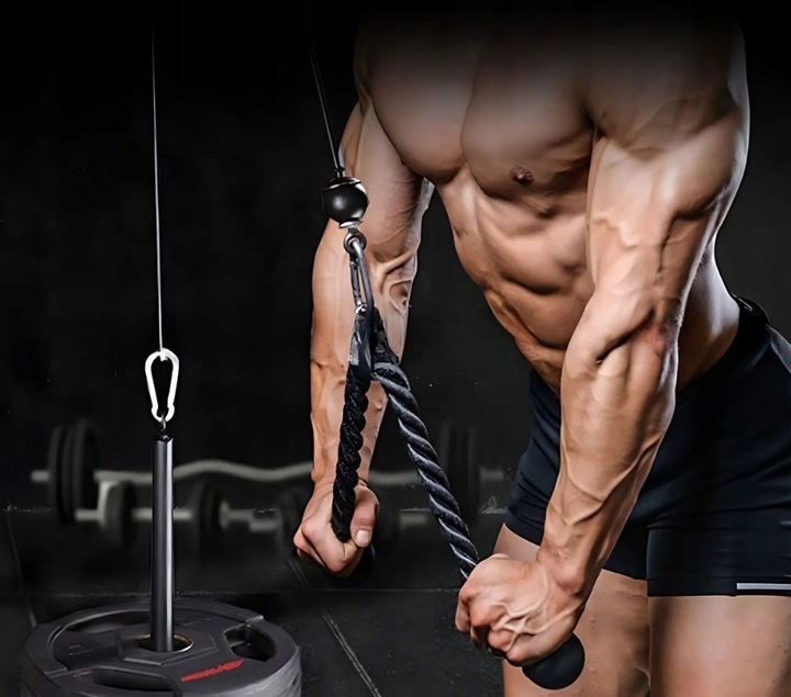WYCIĄG GÓRNY DOLNY DO ĆWICZEŃ ŚCIANY SUFITU UCHWYT SZNUR ATLASU TRICEPS