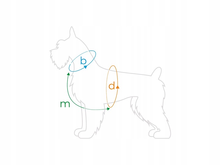 AMIPLAY SZELKI GUARD SAMBA M CZARNY