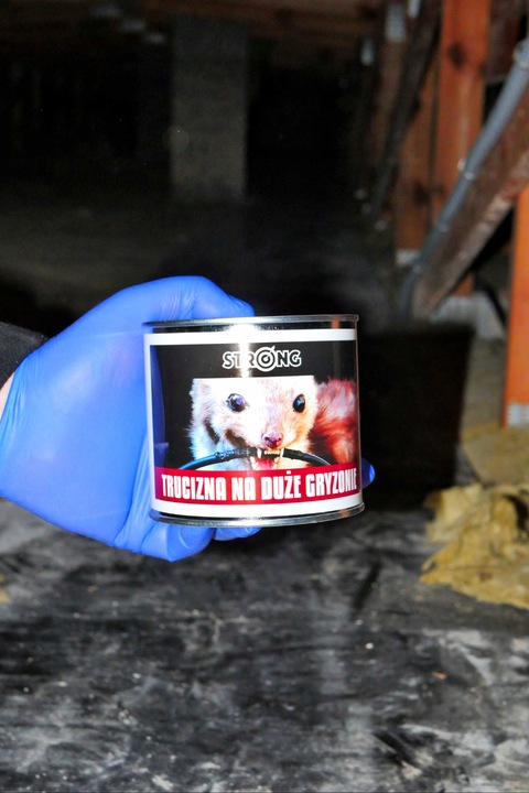 NAJMOCNIEJSZA TRUCIZNA NA DUŻE GRYZONIE STRONG