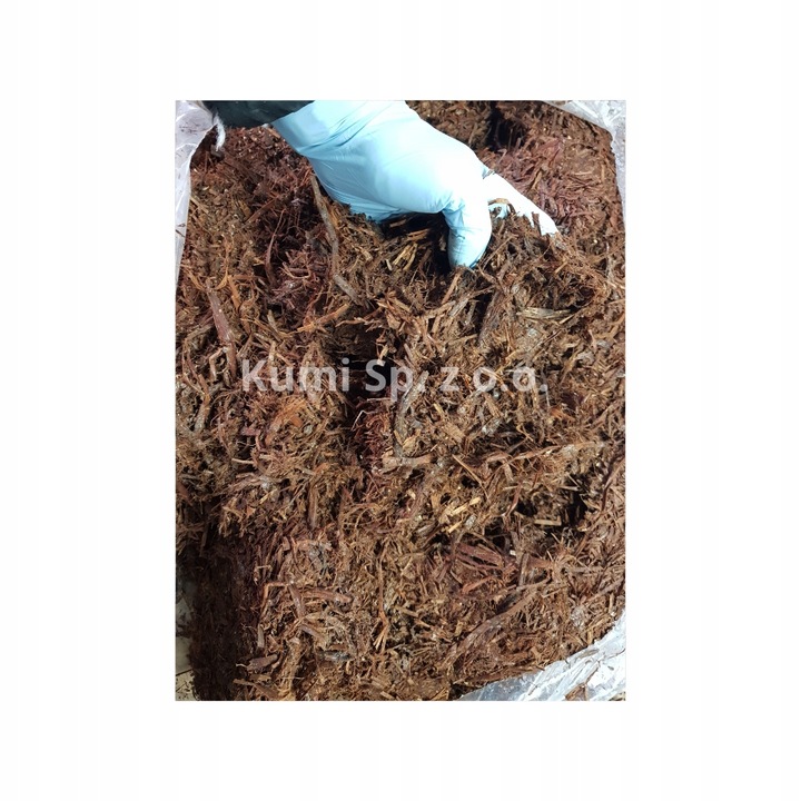 GRZYBNIA PIECZARKI BIAŁEJ BALOT PODŁOŻE 3FAZA 20KG Z BADANIAMI +