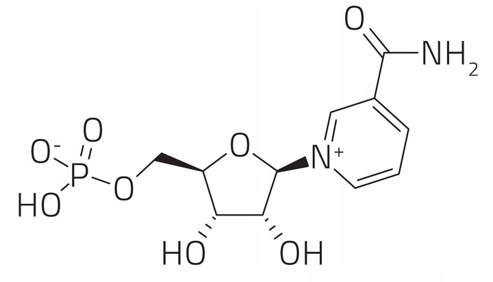 PROTON LABS NMN 15 g czysty proszek 100% mononukleotyd PRZEBADANY 100% pure