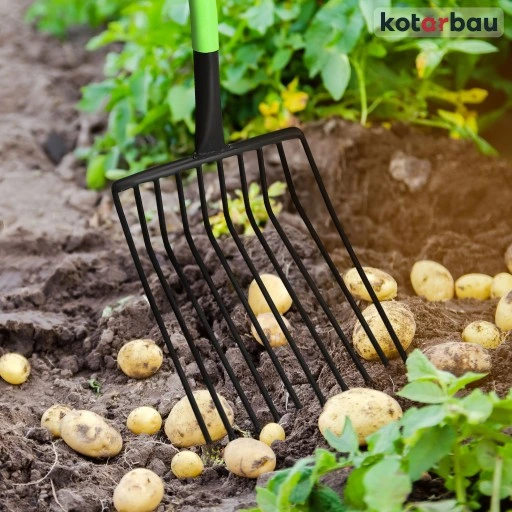 WIDŁY 10 ZĘBNE BURAKÓW ZIEMNIAKÓW KAMIENIA GABLE