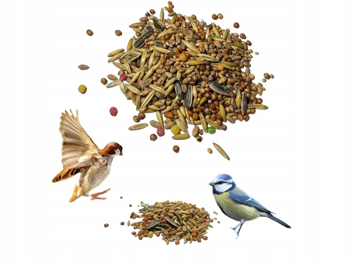 Karma Ziarno Dla Dzikich Zimujących Ptaków Słonecznik Do Karmnika 20 KG