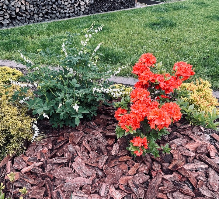 KORA SOSNOWA 80-130mm 8-13cm PREMIUM SORTOWANA MEGA GRUBA 50L