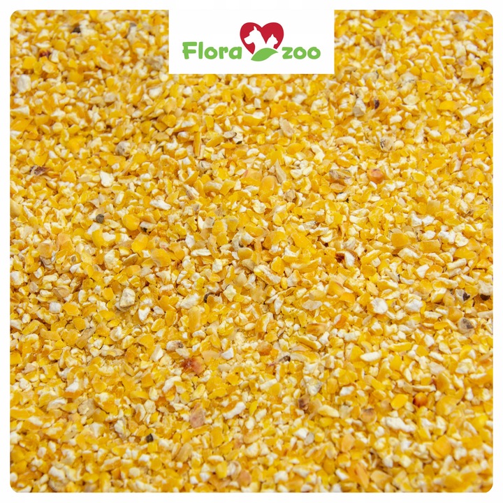 KUKURYDZA GNIECIONA PASZA KARMA DROBNA ZIARNO DLA DROBIU KUR KACZEK GOŁĘBI