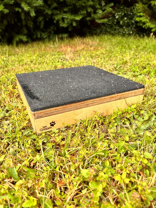 PODEST DLA PSA DO SOCJALIZACJI OBEDIENCE DOG 30x6