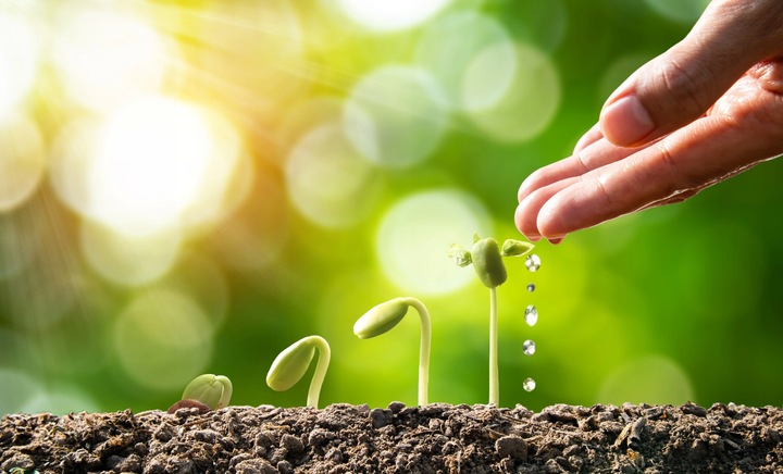 BIOVITA ZIEMIA UNIWERSALNA DO KWIATÓW ROŚLIN 50L