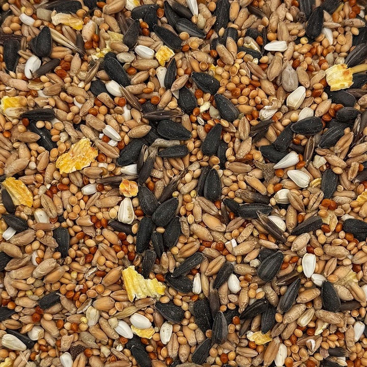 MIX DLA PAPUG FALISTYCH i ŚREDNICH Karma 20kg Nimfa Rozella STANDARD Champi