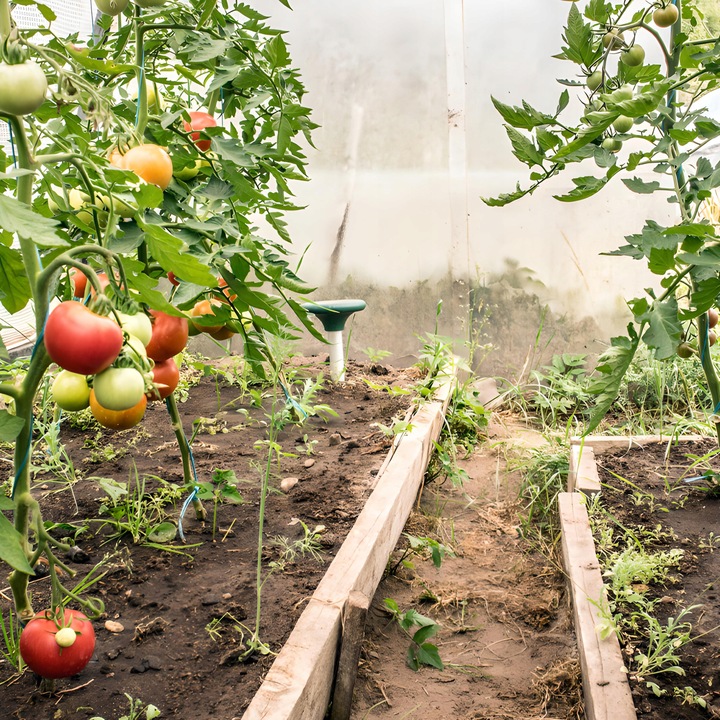 2X ODSTRASZACZ SOLARNY SILNY NA KRETY SZCZURY GRYZONIE KUNY DŹWIĘK