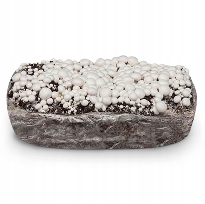 GRZYBNIA PIECZARKI BIAŁEJ BALOT PODŁOŻE 3FAZA 20KG Z BADANIAMI +