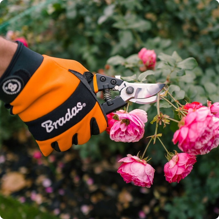 SEKATOR OGRODOWY DO GAŁĘZI KWIATÓW KRZEWÓW BRADAS OSTRZE MIJAJĄCE STAL