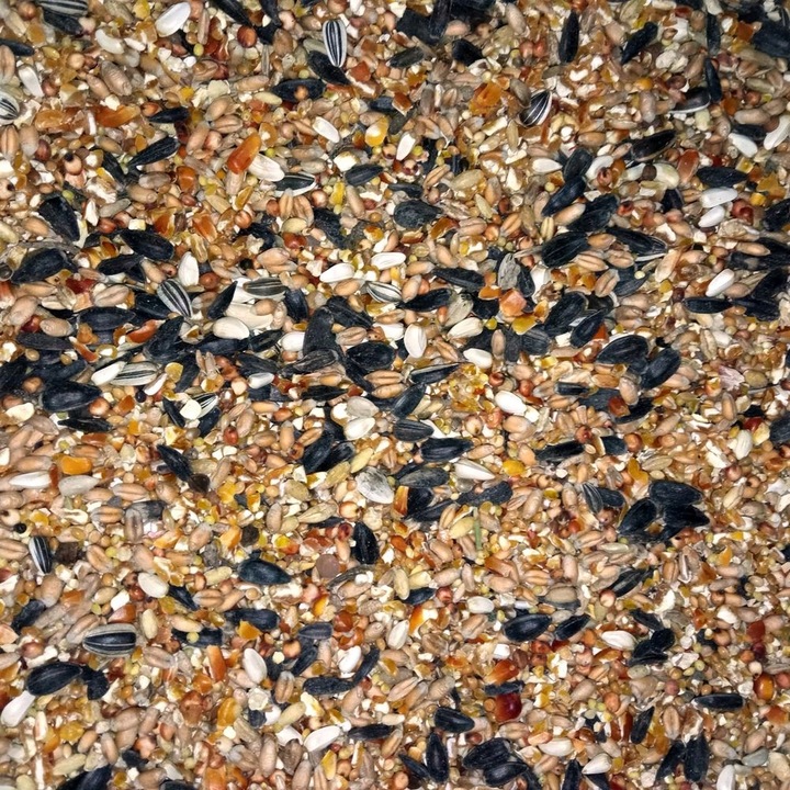 TRUX Karma ziarno dla ptaków zimujących 10kg sikorek wróbli gołębi zimowa