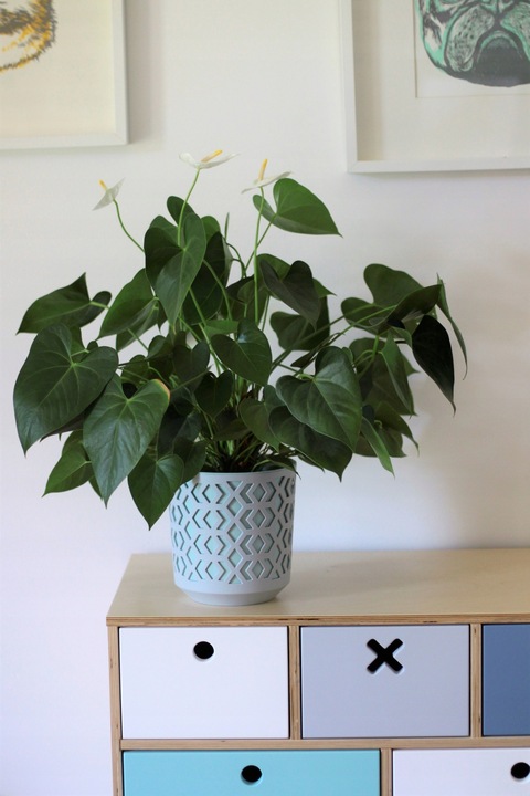 Doniczka AZTEK 14 h15 k-Czarny + w-Złoty Jasny