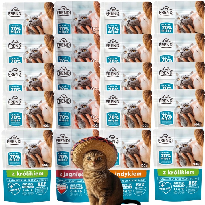 MOKRA KARMA DLA KOTA SASZETKA FRENDI MIX SMAKÓW 70% MIĘSA 100G X 20 BEZ RYB