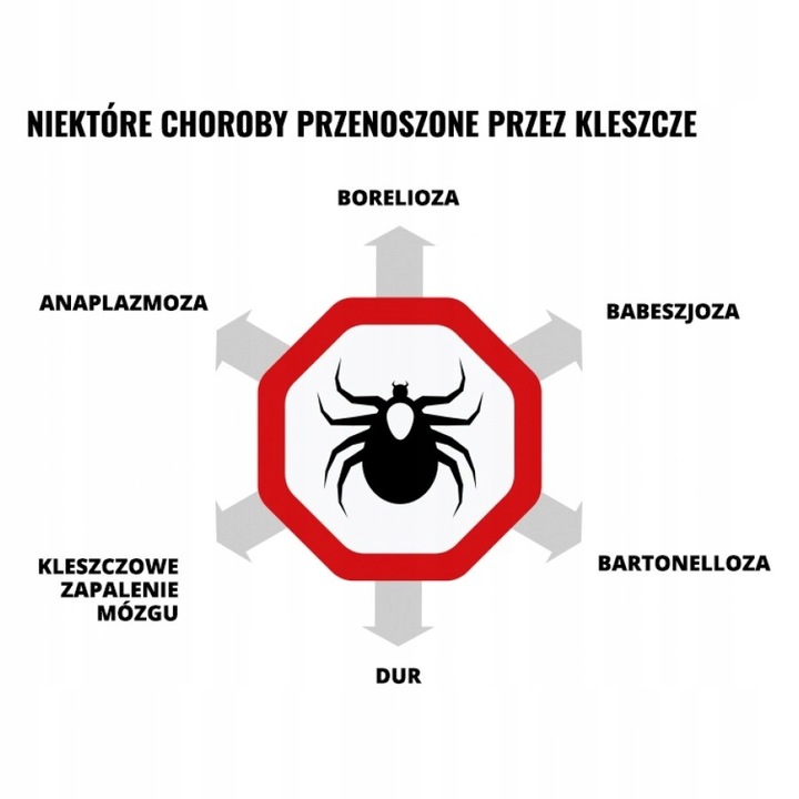 Mugga Strong spray 50% DEET 75 ml odstraszacz na komary i kleszcze ORYGINAŁ