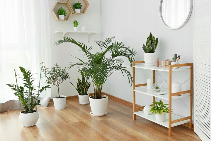 PODPORA PIERŚCIENIOWA DO ROŚLIN 45cm SZNUREK ZAPINKI DRUCIK ZESTAW