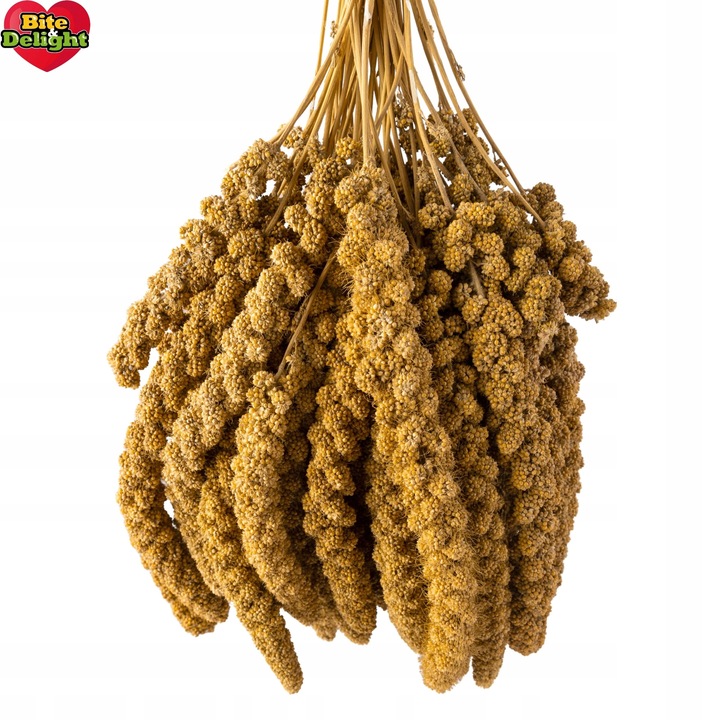 PROSO SENEGALSKIE BIAŁE 1KG CZYSTE DUŻE KŁOSY DLA PTAKÓW PAPUG ECO PACK