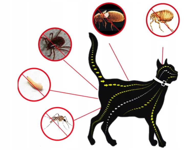 OBROŻA DLA KOTA NA PCHŁY KLESZCZE 8 MIESIĘCY 40 CM UNIWERSALNA