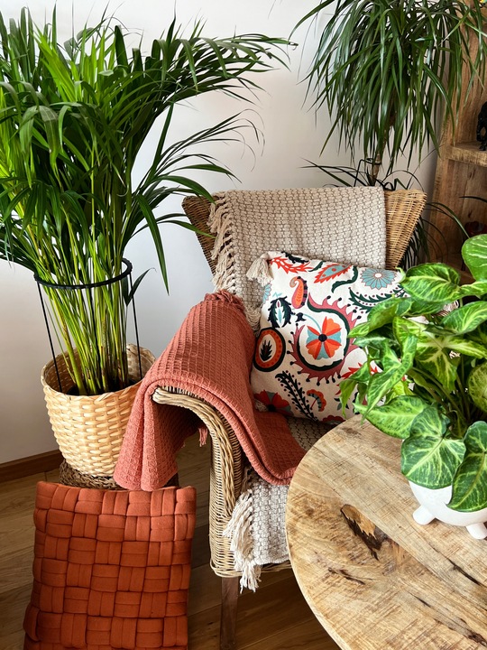 Podpórki do roślin kwiatów podpora podpórka obręcz RING ŁĄCZONY 2w1 M 33/16