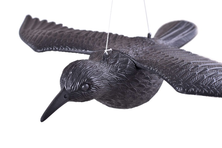 KRUK LATAJĄCY ODSTRASZACZ W LOCIE NA BALKON TARAS GOŁĘBI PTAKÓW