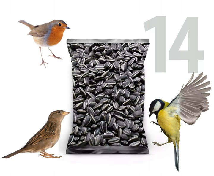 14kg Słonecznik czarny nie łuskany ziarno na zimę karmnik dla ptaków Champi