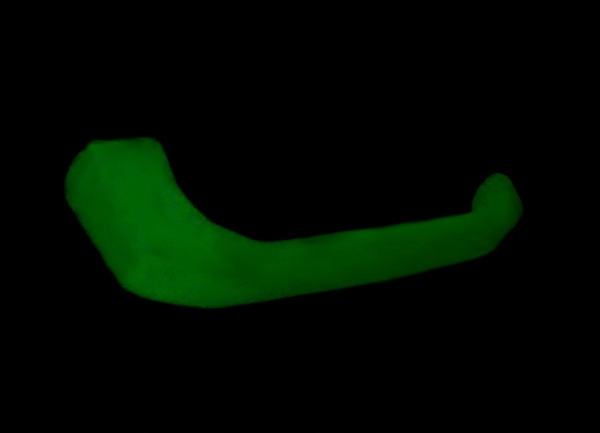 Farba świecąca w ciemności SUPERMOCNA 25ml 50g luminescencyjna zielona fluo