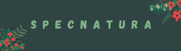 Mydło Hipoalergiczne Szczedro Szare 72% Naturalne 12 kostek 2,4 kg