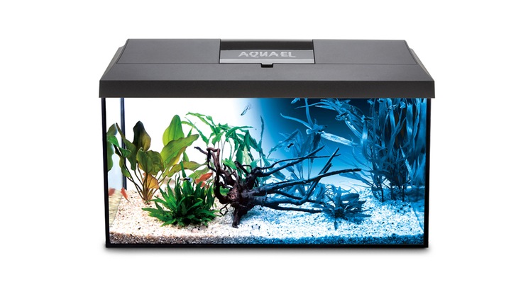 Zestaw 72l z oś AQUAEL LEDDY DZIEŃ I NOC wyposażen