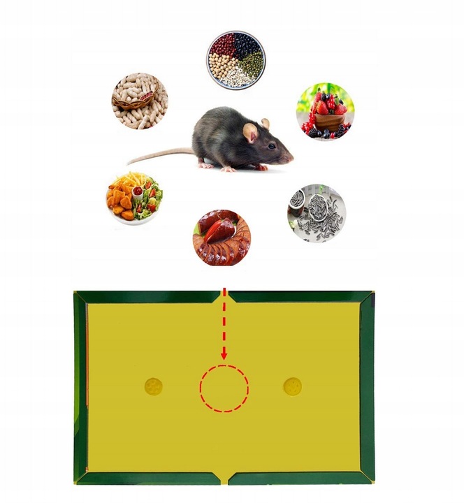 Zestaw 30 Lep na Myszy Szczury Myszołapka Mocna Łapka Lep Silny Klej