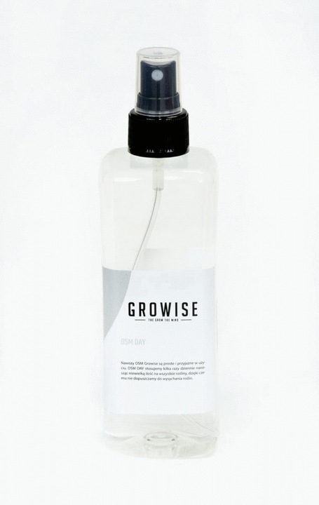 DSM Day- ukorzeniacz